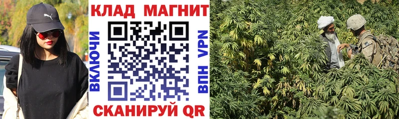 Купить наркотики цена Дагестанские Огни А ПВП  Кокаин  Галлюциногенные грибы  ГАШИШ  Меф 