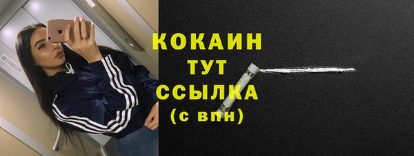 амф Верея