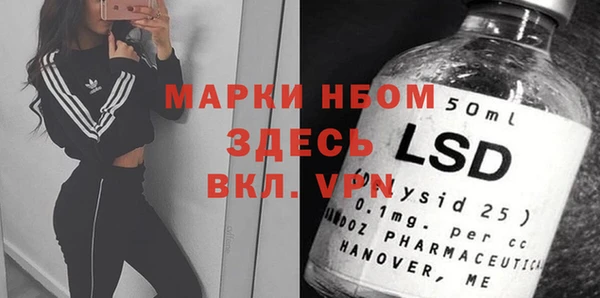 амф Верея