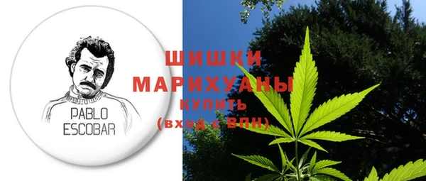 амф Верея
