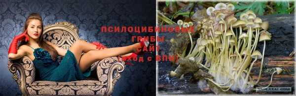 скорость Бородино